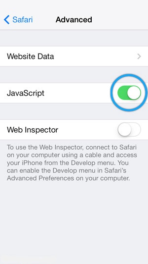 Screenshot showing the JavaScript setting as 'enabled'